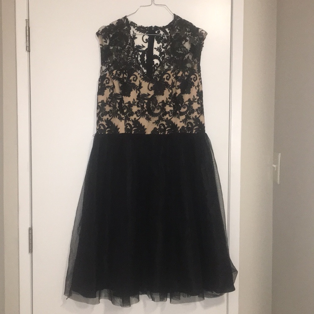 Dress! Black and Creme Lace top, Tulle Skirt